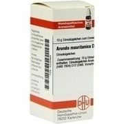 DHU-Arzneimittel ARUNDO MAURITANICA D 12 GLOBULI, 10 g
