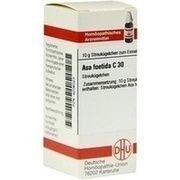 DHU-Arzneimittel ASA FOETIDA C 30 GLOBULI, 10 g