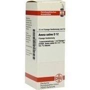 DHU-Arzneimittel AVENA SATIVA D 12 DIL. 20 ML DILUTION DHU-Arzneimittel AVENA SATIVA D 12 DIL. 20 ML DILUTION