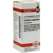DHU-Arzneimittel CALADIUM SEGUINUM D 4 GLOBULI, 10 g