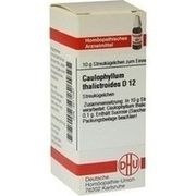DHU-Arzneimittel CAULOPHYLLUM THALICTROIDES D 12 GLOBULI, 10 g