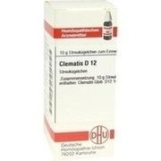 DHU-Arzneimittel CLEMATIS D 12 GLOBULI, 10 g