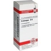 DHU-Arzneimittel CRATAEGUS D 6 GLOBULI, 10 g