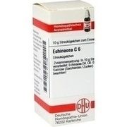 DHU-Arzneimittel ECHINACEA HAB C 6 - 10 G GLOBULI