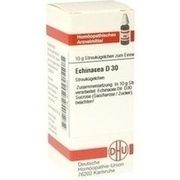 DHU-Arzneimittel ECHINACEA ANGUSTIFOLIA D 30 GLOBULI