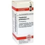 DHU-Arzneimittel EUPATORIUM PERFOLIATUM C 6 GLOBULI, 10 g