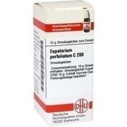 DHU-Arzneimittel EUPATORIUM PERFOLIATUM C 200 GLOBULI
