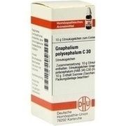 DHU-Arzneimittel GNAPHALIUM POLYCEPHALUM C 30 GLOBULI