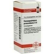 DHU-Arzneimittel HARPAGOPHYTUM PROC. D 6 GLOBULI, 10 g