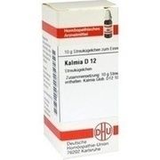 DHU-Arzneimittel KALMIA D 12 GLOBULI, 10 g
