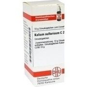 DHU-Arzneimittel KALIUM SULFURICUM C 200 GLOBULI, 10 g