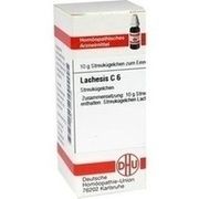 DHU-Arzneimittel LACHESIS C 6 GLOBULI, 10 g