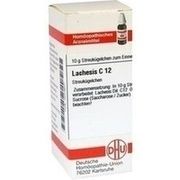 DHU-Arzneimittel LACHESIS C 12 GLOBULI, 10 g