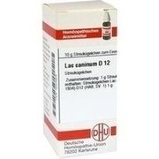 DHU-Arzneimittel LAC CANINUM D 12 GLOBULI, 10 g
