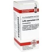 DHU-Arzneimittel LUFFA OPERCULATA C 30 GLOBULI, 10 g