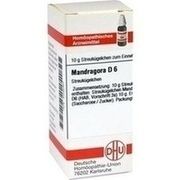 DHU-Arzneimittel MANDRAGORA D 6 GLOBULI, 10 g