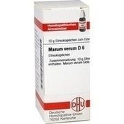 DHU-Arzneimittel MARUM VERUM D 6 GLOBULI, 10 g