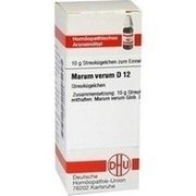 DHU-Arzneimittel MARUM VERUM D 12 GLOBULI, 10 g