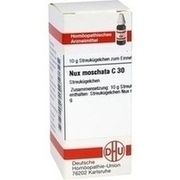 DHU-Arzneimittel NUX MOSCHATA C 30 GLOBULI, 10 g