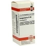 DHU-Arzneimittel SANGUINARIA D 30 GLOBULI, 10 g