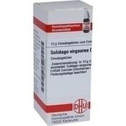 DHU-Arzneimittel SOLIDAGO VIRGAUREA D 1 GLOBULI, 10 g