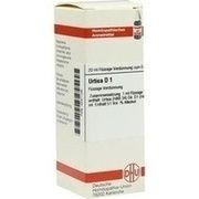 DHU-Arzneimittel URTICA D 1 DILUTION, 20 ml