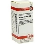 DHU-Arzneimittel VESPA CRABRO C 30 GLOBULI, 10 g