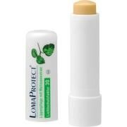 InfectoPharm LOMAPROTECT STIFTE, 1 St.