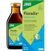 Salus Floradix Eisen plus B12 vegan 250 ml