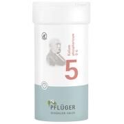 Pflüger BIOCHEMIE 5 PFLUEGER KALIUM PHOSPHORICUM D 6 TABL 