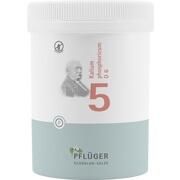 Pflüger BIOCHEMIE 5 PFLUEGER KALIUM PHOSPHORICUM D 6 TABL 