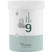 BIOCHEMIE 9 PFLUEGER NATRIUM PHOSPHORICUM D 6 TABL 1000 ST