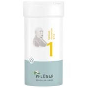 Pflüger BIOCHEMIE PFLUEGER 1 CALCIUM FLUOR.D 12 PULVER