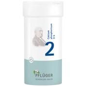 Pflüger BIOCHEMIE PFLUEGER 2 CALCIUM PHOSPH.D 6 PULVER
