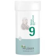 Pflüger BIOCHEMIE PFLUEGER 9 NATRIUM PHOSPH.D 6 PULVER