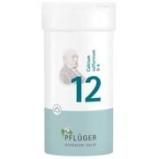 Pflüger BIOCHEMIE PFLUEGER 12 CALCIUM SULFUR.D 6 PULVER