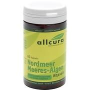 Allcura MEERESALGEN KAPSELN NORDMEER, 60 St.