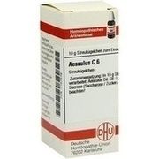 DHU-Arzneimittel AESCULUS C 6 GLOBULI, 10 g