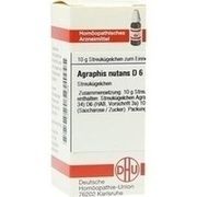 DHU-Arzneimittel AGRAPHIS NUTANS D 6 GLOBULI, 10 g