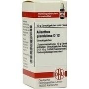 DHU-Arzneimittel AILANTHUS GLAND. D 12 GLOBULI, 10 g