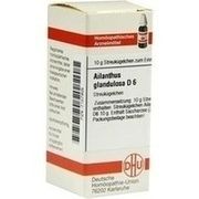 DHU-Arzneimittel AILANTHUS GLAND. D 6 GLOBULI, 10 g