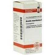 DHU-Arzneimittel ARUNDO MAURITAN. C 30 GLOBULI, 10 g