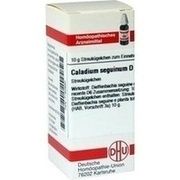 DHU-Arzneimittel CALADIUM SEGUINUM D 6 GLOBULI, 10 g