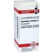 DHU-Arzneimittel EQUISETUM ARVENSE C 30 GLOBULI, 10 g