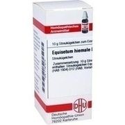 DHU-Arzneimittel EQUISETUM HIEMALE D 12 GLOBULI, 10 g