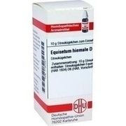 DHU-Arzneimittel EQUISETUM HIEMALE D 6 GLOBULI, 10 g