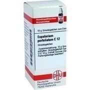 DHU-Arzneimittel EUPATORIUM PERFOLIATUM C 12 GLOBULI, 10 g