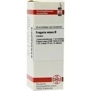 DHU-Arzneimittel FRAGARIA VESCA URTINKTUR DILUTION