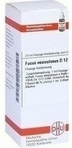 DHU-Arzneimittel FUCUS VESICULOSUS D 12 DIL., 20 ml