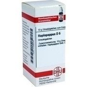 DHU-Arzneimittel HAPLOPAPPUS D 6 GLOBULI, 10 g